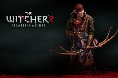 98 The Witcher 2: Assassins Of Kings HD Wallpapers