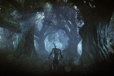 Witcher 3 Geralt In Forest