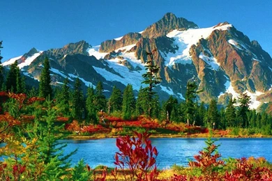 Magnificent! Computer Wallpapers, Desktop Backgrounds