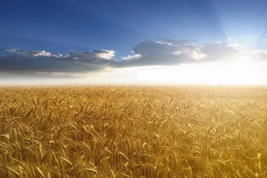 14 Desktop Wallpapers 1366x768:Best Wallpapers HD