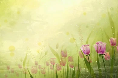 Beautiful Laptop Backgrounds Wallpapers