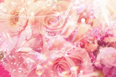 Flower Wallpaper Backgrounds   Desktop Backgrounds