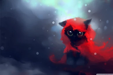 Red Riding Hood Cat HD Desktop Wallpapers : Widescreen : High ...