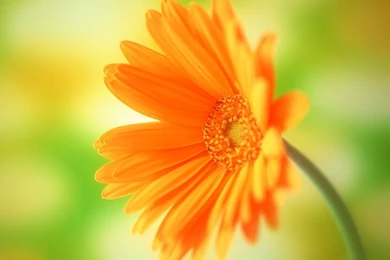 30+ Outstanding Desktop Wallpapers For You