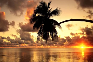 Free World Ocean Day Computer Desktop Wallpapers