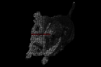 Pit Bull Wallpapers By BradleyBlazed On DeviantArt