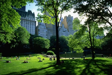 Central park wallpaper new york central park hd wallpaper desktop ...