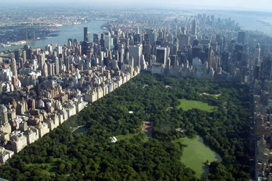 New York Park Wallpaper.jpg