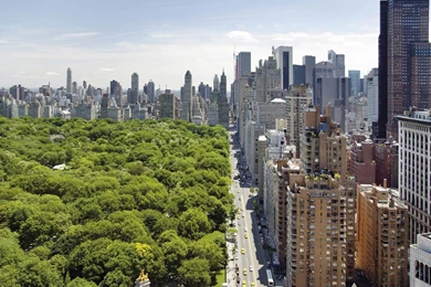 Best City   New York   Central Park 1280x1024 Wallpapers