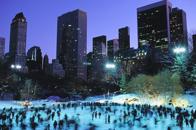 Winter In Central Park Wallpapers   Wallmanage.com