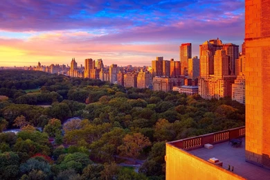 Skyscrapers: Central Park Worm Sunset Hdr Trees Skyscrapers City ...