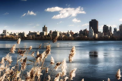 CENTRAL PARK WALLPAPERS KSH003