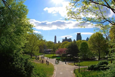 1920x1080 Central Park New York City Wallpapers