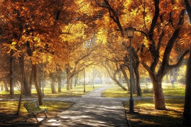 Central Park Manhattan New York Wallpapers