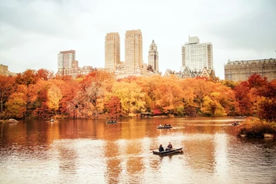 New York Manhattan Usa New York City Nyc Central Park Autumn F ...