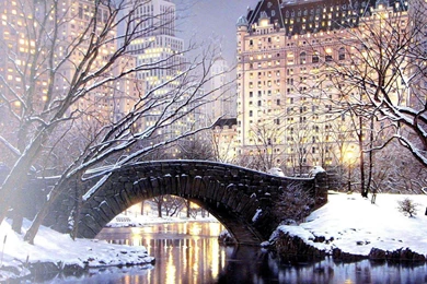 Twilight In Central Park   (