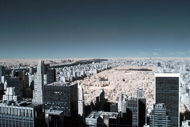 New York Central Park Wallpapers 99042