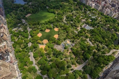 768x1024 Central Park New York Five Ipad Wallpapers