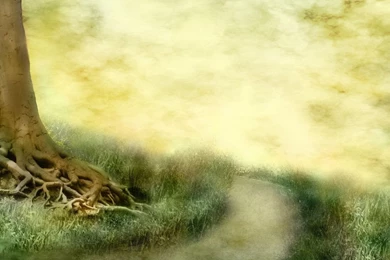 Tree Backgrounds With Quotes. QuotesGram