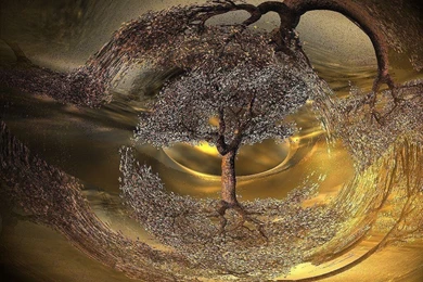 Desktop Backgrounds Trees