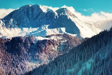 iPhone 5s Wallpapers