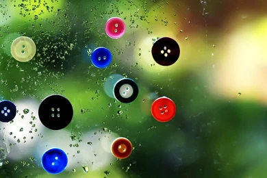 Download Hd Wallpapers_hd Wallpaper_download Free Wallpapers