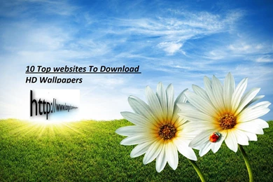 Top 10 Free HD Wallpapers Websites 2015