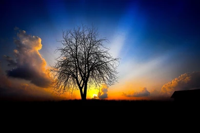 Full HD 1080p Wallpapers Wallmanage.com