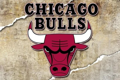 Chicago Bulls Logo Chicago Bulls Wallpapers – Logo Database