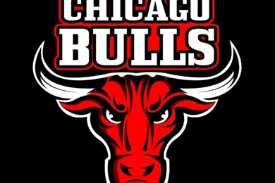 Chicago Bulls Cartoon Logo