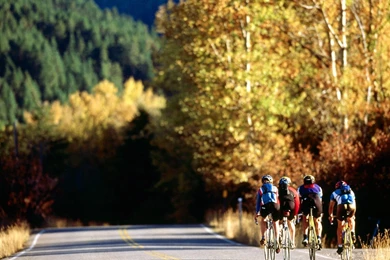 Bicycles, Groups, Canyon, Cycling :: Wallpapers