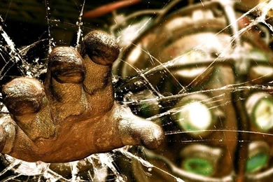 Wallpapers PS Vita Wallpapers Free Wallpapers PS Vita Wallpapers ...