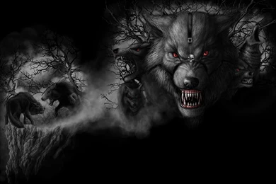 3077) Dark Wolf Full HD Wallpapers   WalOps.com