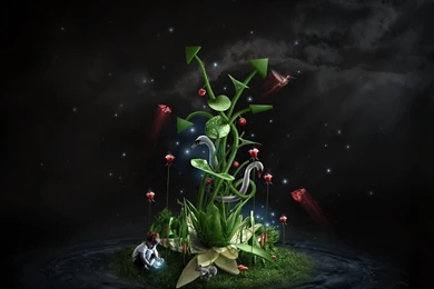 FREE 3D MUSHROOM WALLPAPER   (