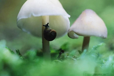 Free Wallpapers – Get On For Free Latest Wallpapers Of Windowsxp ...