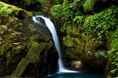 iPad 3 Nature Wallpapers