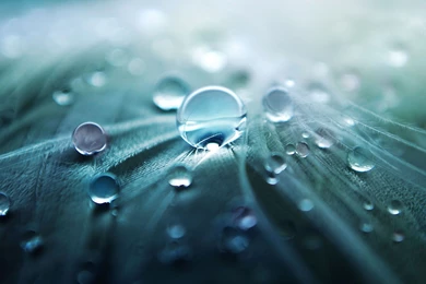 Most Popular iPad Wallpapers