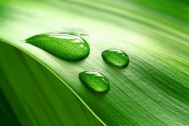 IPad 3 Wallpaper Nature   5647   The Wondrous Pics