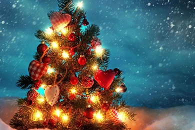 Download Christmas Tree HD Wallpapers For iPad 3   HDwallpapers.net