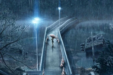 Rain Wallpaper: Best Collection Of Rainy Desktop HD Wallpapers 2016 ...