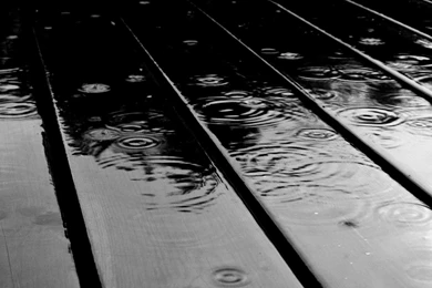 Monsoon Latest Wallpapers Download   Valentine's Day 2016 HD ...