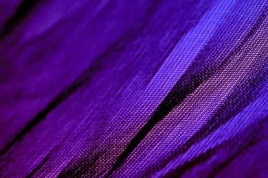 We Build Walls Instead Of Bridges iPhone 6 Plus HD Wallpapers ...