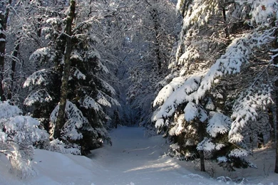 Snowy Landscape Backgrounds 05 By FantasyStock On DeviantArt