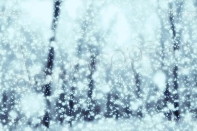 Magical Snow   Snow / Christmas Video Loop / Animated Motion ...