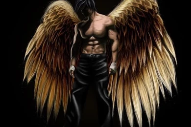 Black Golden Male Angel: Http://fantasy backgrounds wallpapers.com ...