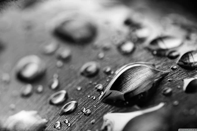 Drops Of Water Black And White HD Desktop Wallpapers : Widescreen ...