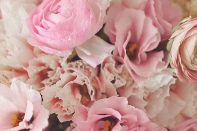 HD iPhone 6 Plus Wallpapers Free Download