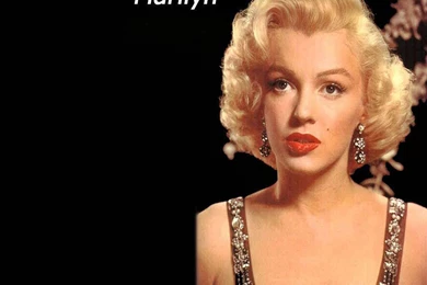 Top Marilyn Monroe Wallpapers Back Images For Pinterest