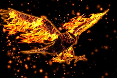 Burning Eagle Wallpapers