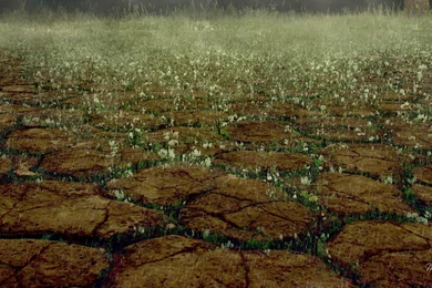 Finally Raining >> HD Wallpaper, Get It Now!